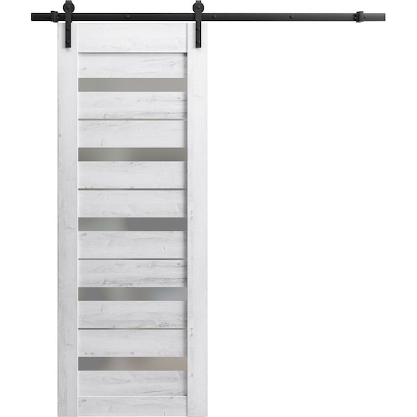 Sartodoors Slab Barn Door Panel 18 x 80in, Matte Black Clear Glass, Pocket Closet Sliding LUCIA2166S-BLK-18 - main